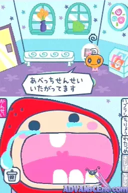 Image n° 3 - screenshots : Tamagotchi no PuchiPuchi Omisecchi (v01)